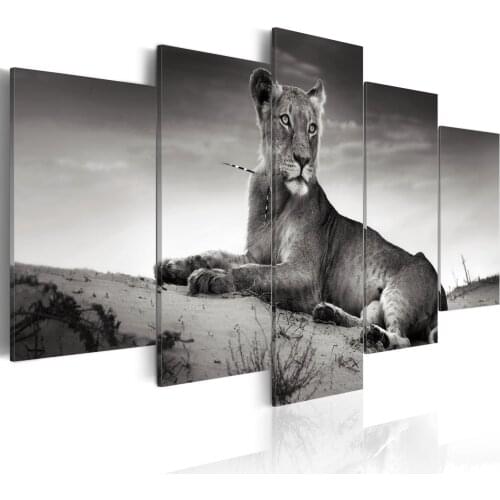 Picture-lioness in the desert-200x100 cm