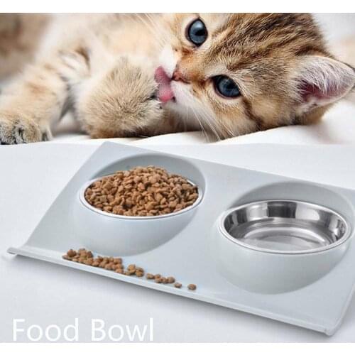 OLOEY Products For Cats