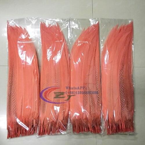 Factory Price 100pieces/lot 12-14inch 35-40cm Length Top Quality Coral Dyed Silver Pheasant Feathers For Craft & Carnival Show