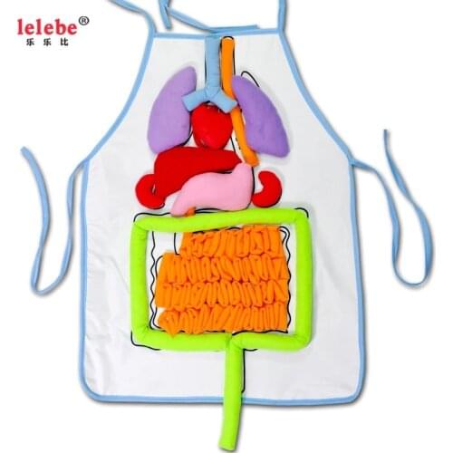 Children early educational toys 2020 Preschool body organ Teaching aids apron kids training aids baby educational toys