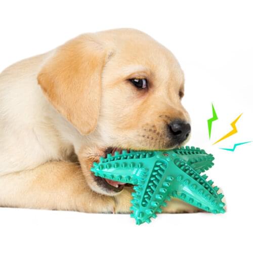Explosive Pet Water Toy Pet Puppy Dog Vocal Dog Toy Squeak Toy Multi-style Good Quality and Durable Teething Stick