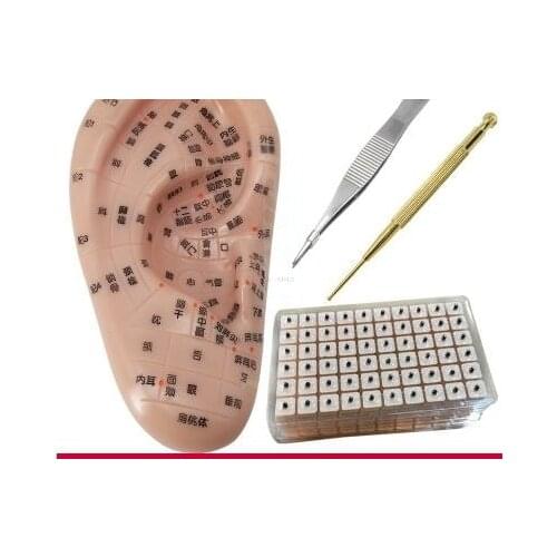 Auricular acupuncture model large auricular acupuncture model 40cm auricular acupuncture point small ear 13cm auricular acupunct