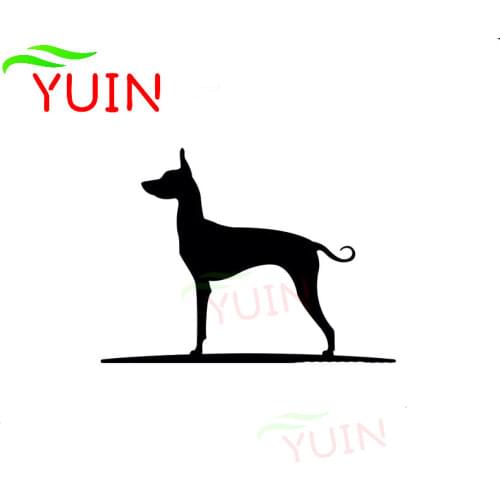 Mexican Hairless Dog Car Sticker Animal Decal Fashion PVC Cars Door Window Decoration Cover Scratch Waterproof UV Anti-UV Decals