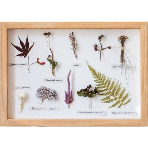 Specimen Art Wall Decor 3d Wood Framed Square Creative Showcase Display Loft Coffee Corner Natale Decorazioni Home Design E5ZSB