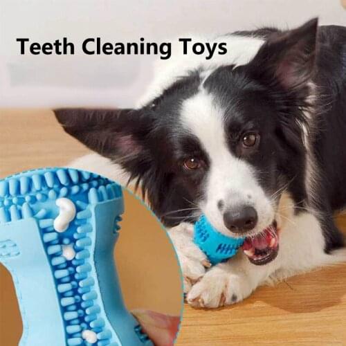 Natural Rubber Chew Toys Dog Toothbrushes Teeth Cleaning Dog Toy Pet Brushing Stick Pet Supplies Puppy Popular Toys Accessories