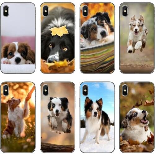 Australian Shepherd Dog Soft Phone Case For Samsung Galaxy A71 A70 A60 A51 A50 A41 A40 A31 A30 A20E A21S A12 A10 A7 A5 A3