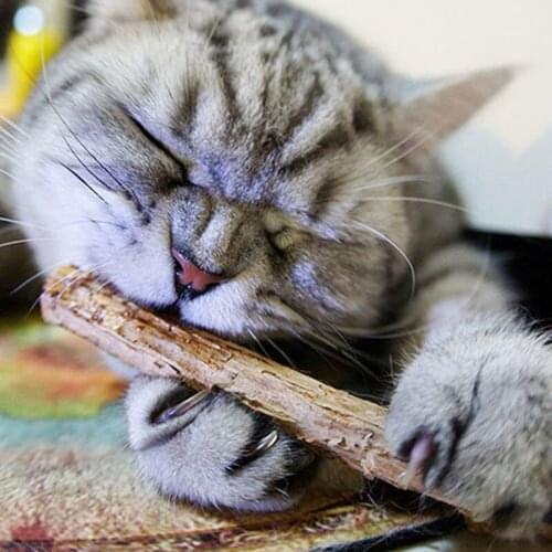 Gootrades Toys For Cats