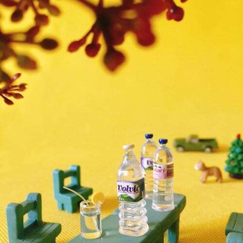 10 pcs mineral water bottles/miniatures food/dinnerware/artificial/fairy garden gnome/terrarium decor/bonsai/figurine/doll house