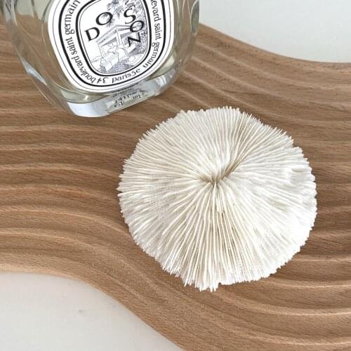 Home Accessories Model Room Decoration Texture Natural Coral Desk Matching Props