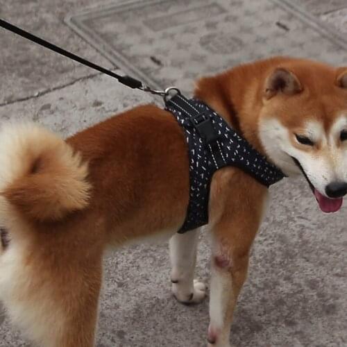 Pet Lightweight Vest Harness And Leash Set Breathable Mesh Reflective Pet Dog Walking Supplies Set For Small And Medium Dogs