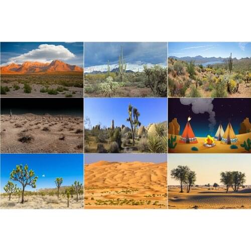 Desert Wonders Landscape Cactus Tapestry Holiday Party Photography Bedroom Bedside Living Room Decoration Picnic Mat
