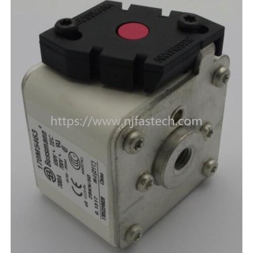 Fusible 170m5463 auto fuse fuse price