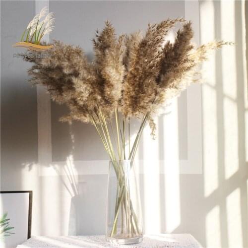 Wedding flowers real big pampas grass large size decor Natural dried flowers bouquet feather flowers For Home Store party decor