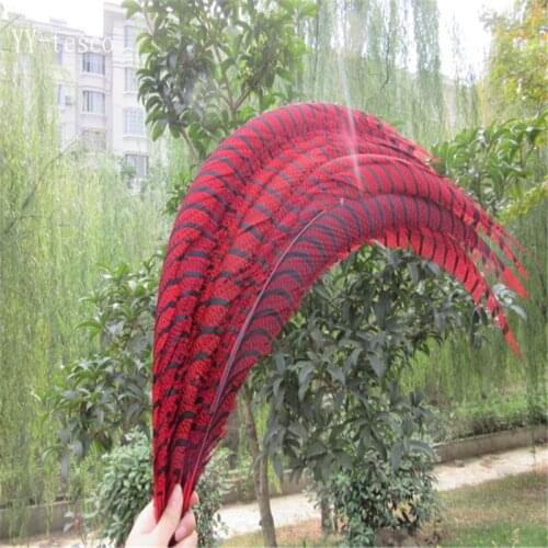 20pcs 32-36 inche/80-90cm Red Lady Amherst Pheasant Feather pheasant feathers for carnival party costumes cosplay decoration