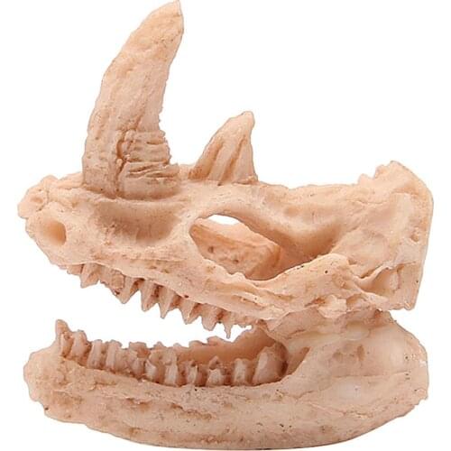 Dragon Resin Aquarium/Terrarium Decoration Crocodile Skull For Fish Tank Resin Ornament Decorate Your Aquarium