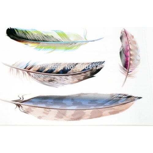 Newest Design Auto Decoration D Set Colorful Wing Feather Decal Decoration Accessories Stickers