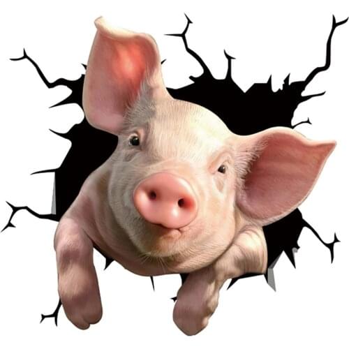 Fashion 3d Pig Toilet Stickers Lovely Animal Wall Decal Car Sticker Home Decor Art Pvc Vinyl Bathroom Decoration Waterproof 5G