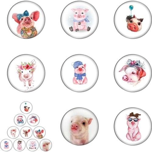 Lovely Cartoon Pig Small Pet Animal 12mm/20mm/25mm/30mm Round Photo Glass Cabochon Demo Flat Back Making Findings