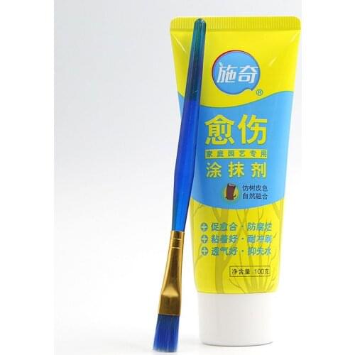100g Tree Wound Bonsai Cut Paste Smear Agent Pruning Compound Sealer with Brush #6