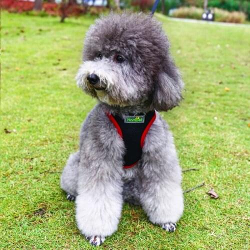 Dog Harness Vest Training for Chihuahua Puppy Soft Mesh Pet Harness for Dogs Cats Petshop Puppy Collar Cat Pet Dog Chest Strap