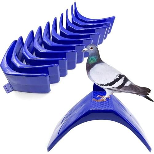 CMinYP Parrot Perches China