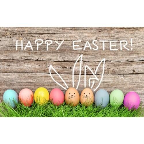 LIFE MAGIC BOX Egg Rabbit 200x150cm Custom Photo Backdrops It Background easter backdrops for photography wood backdrop HJ02926