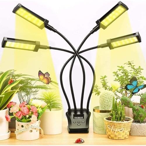 Лампы для растений RAYWAY China At AliExpress