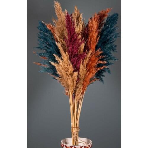16 Pcs Dried Small Pampas Grass Flowers Pantas Artificiales Para Decoracion Real Plants Home Decor Wedding Decoration