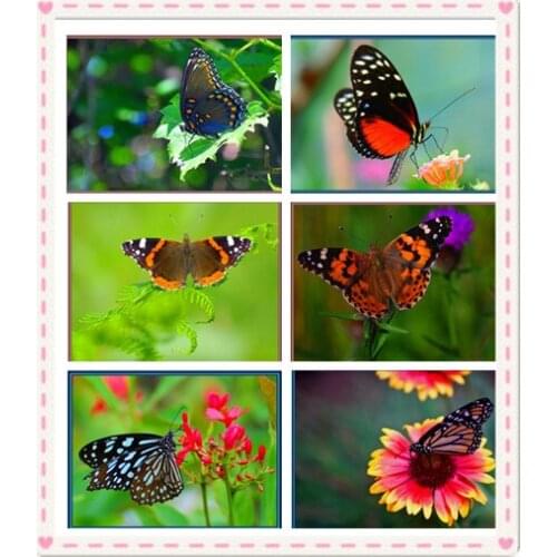 2019 new arrived 100% full diamond Painting cross stitch 20 pics of butterfly diamond Embroidery Home Decor for christmas Gift