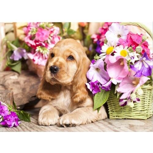 Cocker Spaniel Dog 5d diy Diamond Painting Full Square Diamond Embroidery Rhinestone Cross Stitch 5D DIY Mosaic decor YG1831