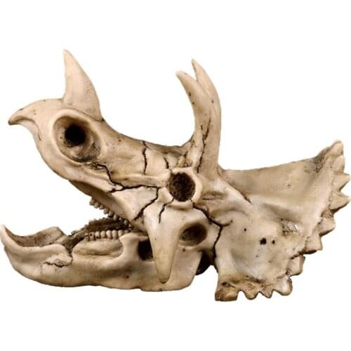 Triceratops Dinosaur Skull Resin Crafts Skeleton Teaching Model Halloween Home Office Decoration