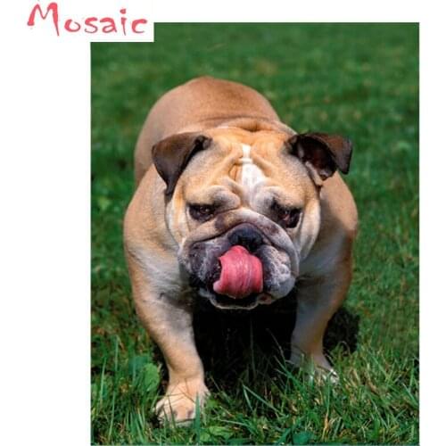 5D DIY Diamond Painting animals pattern Diamond embroidery Cross Stitch English Bulldog picture Needlework Home Decoration