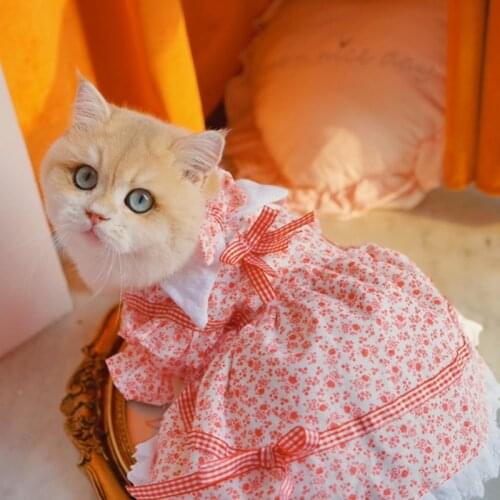 GALAXYDOG Clothes For Cats