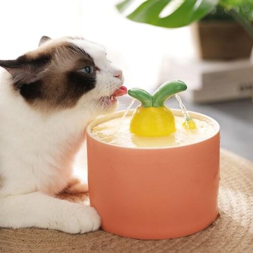 MADDEN Cat Automatic Water Fountain Filtration Kawaii Ceramics Pet Water Dispenser Electric USB Ultra-Quiet Dogs Drinking Bowl