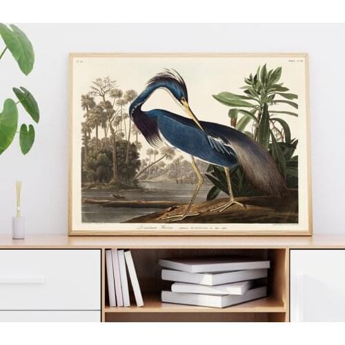 Louisiana Heron From Birds Of America Painting American Animal Bird Nature Poster Wall Picture Kitchen Home Decor