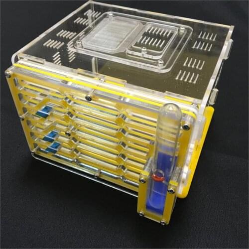 Ant-grape series moisture with feeding area ant nest,ant farm acryl, insect nests villa pet mania for house ants