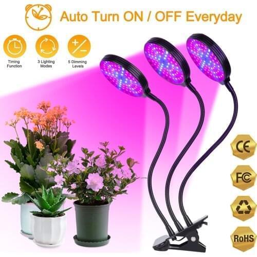 SAFE HID LIGHT Professional Lighting