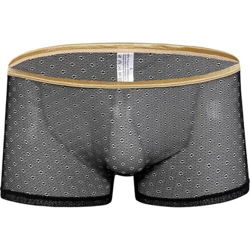 Super Sexy Mens Sheer Underwear Boxers Gay Men Transparent Underwear Shorts Mens Lace Panties Male Lingerie Spandex Men Hot