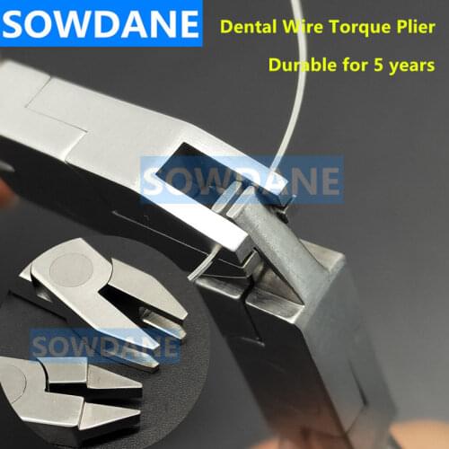 2 pcs/set Dental Orthodontic Forcep Torque Plier Wire Torquing Forming Form Plier Dentist Lab Laboratory Wire Bending Bend Tool