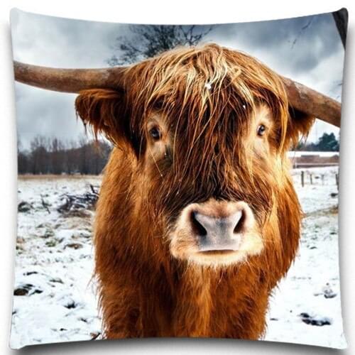 Bull in the wilderness dog swan Square Cushion Cover Home sofa chair car Textiles kids Gift Bedclothes 5 size 9 style