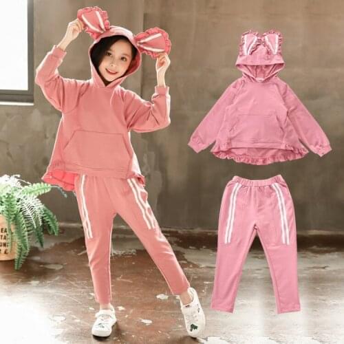 2020 Girls Clothes Sets Spring autumn 3D rabbit ears Costume kids Clothing suit Two pieces Long Sleeve toddler Children clothing