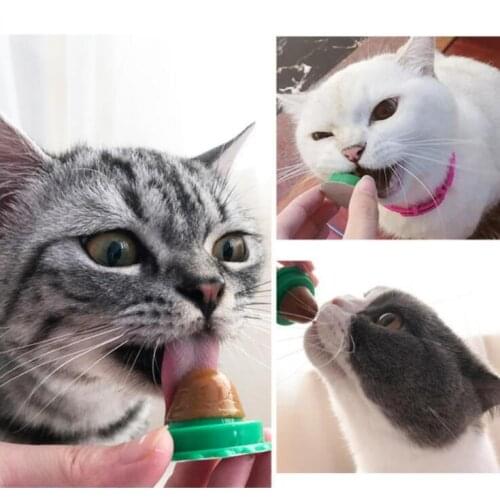 Vitamins for cats Catnip Ball Dust Cover Round Safe Catnip Snack Lick Candy Vitamin Pudding Catnip Lollipop for Cat Kitten Ragd