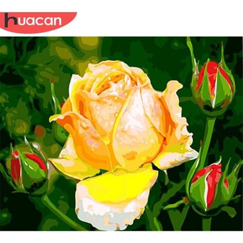HUACAN Painting By Number Rose Drawing On Canvas HandPainted Painting Art Gift DIY Pictures By Number Flower Kits Home Decor