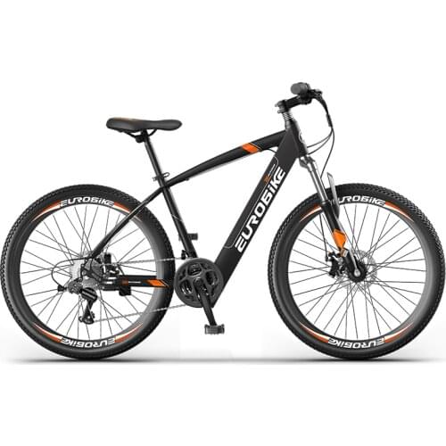 Electric bicycle 250W Motor Mountain Bike 21 Speed 36V13AH Big Battery Removable Lithium Battery e-bike