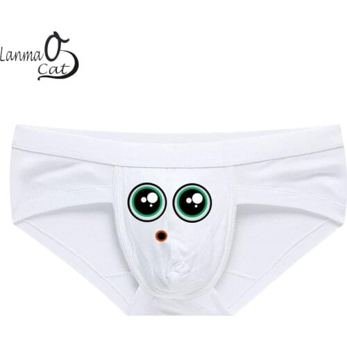 Smooth Sexy Men Briefs Underwear Low Waist Boxer Briefs Panties For Male Gay Man Breathable Sexy Pritnted Briefs Underpants