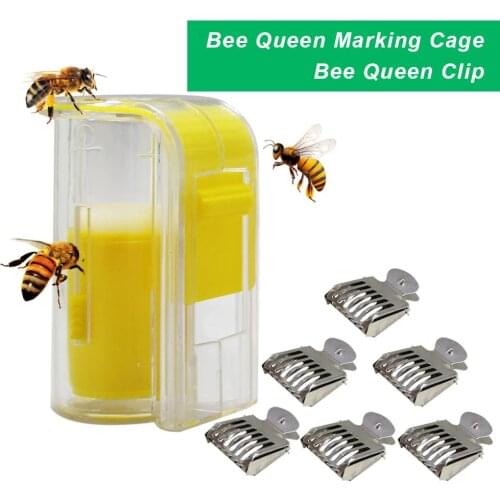 Bee Queen Marking Catcher Beekeeping Cage and 6 PCS Stainless Steel Bee Clips Marker Bottle Plunger Plush Tool Bee marker sets