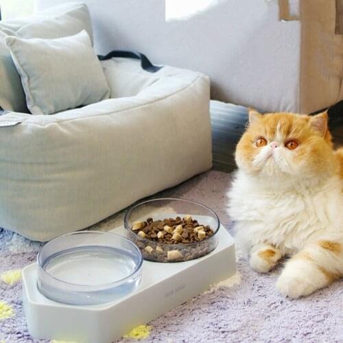 Pet cat dog bowl transparent neck guard double bowl Pet feeder and Feeding water container For Pet Cats And Small Dogs Supplies