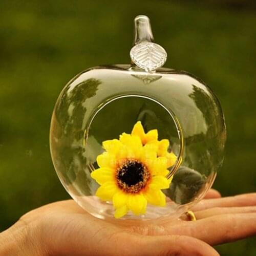 Succulent Vase Ball Shaped Flower Glass Planter Plant Growth Cultivate Terrarium Горшок Для Цветов