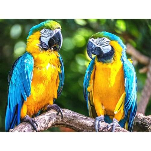 Parrot Bird Animal Printed Canvas 11CT Cross-Stitch Embroidery Full Kit DMC Threads Handicraft work Painting Sewing Package