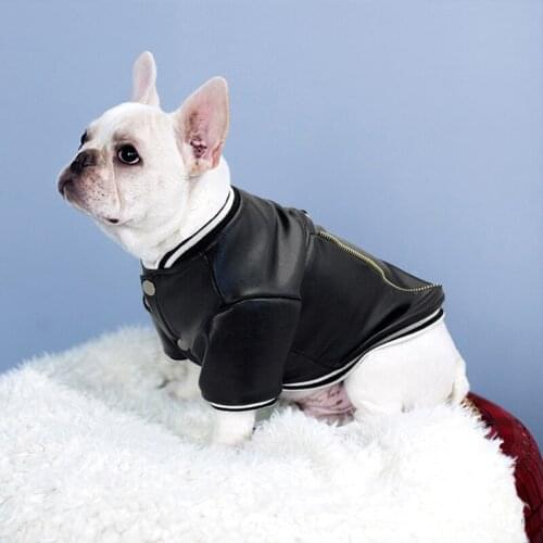 Winter Warm Pet Dog Clothes for Small Dogs Chihuahua PU Harness Jacket French Bulldog Waterproof Thick Coat Pug Costume S-2XL